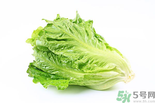 生菜在冰箱放久了能吃嗎？如何分辨生菜新不新鮮？