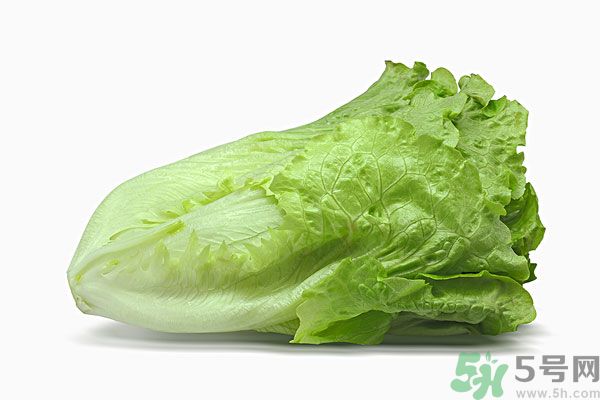 生菜在冰箱放久了能吃嗎？如何分辨生菜新不新鮮？