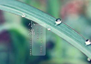 為什么小滿濕氣重？小滿怎么除濕氣？
