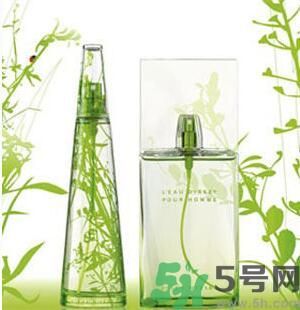 蚊子叮的包過幾天又癢是為什么？蚊子叮的包過幾天又癢怎么辦？