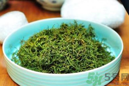怎么挑選苦菜茶?挑選苦菜茶的技巧 怎么挑選苦菜茶?挑選苦菜茶的技巧
