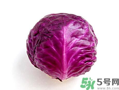 紫甘藍是涼性嗎？紫甘藍是涼性還是熱性？