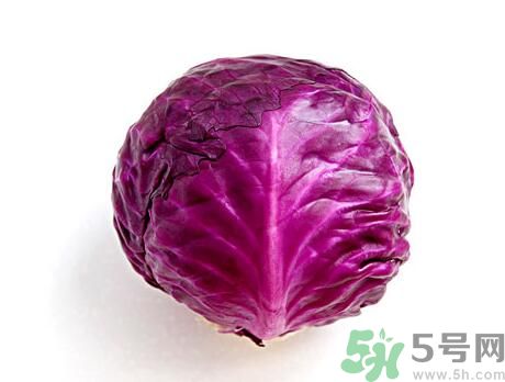 紫甘藍是發物嗎？紫甘藍是不是發物？
