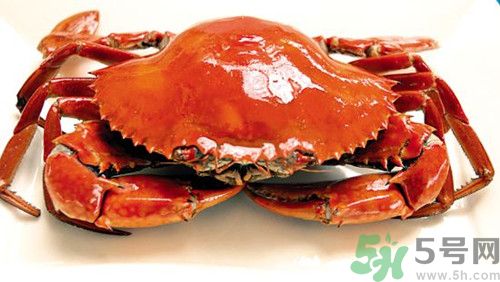 螃蟹是什么季節吃的？吃螃蟹的季節是幾月份