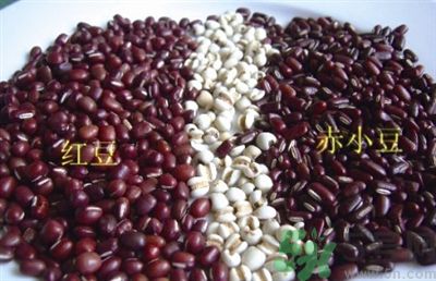 紅豆和赤小豆可以一起煮嗎?紅豆和赤小豆的區別
