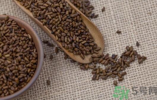 決明子泡茶加什么好？決明子和什么一起泡好？
