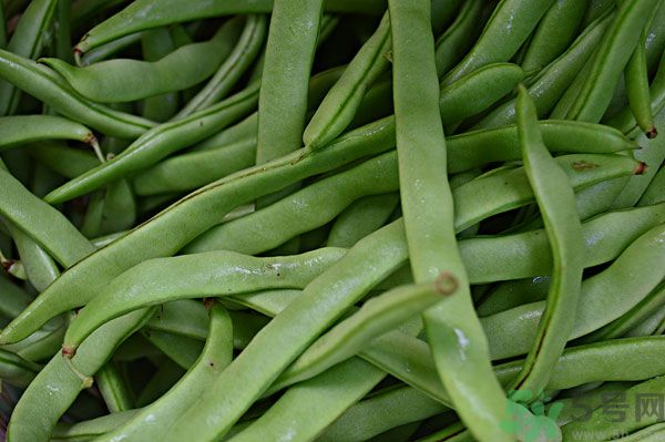 四季豆沒(méi)炒熟有毒嗎？四季豆沒(méi)熟吃了會(huì)怎樣？
