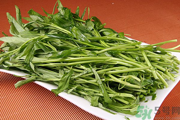 空心菜是菠菜嗎？空心菜是不是菠菜？
