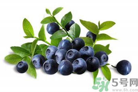 藍(lán)莓是熱性還是涼性？藍(lán)莓是涼性嗎？