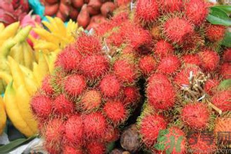 寶寶可以吃紅毛丹嗎？寶寶多大了可以吃紅毛丹？
