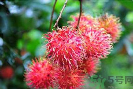 吃紅毛丹可以喝牛奶嗎？紅毛丹和牛奶可以一起吃嗎？