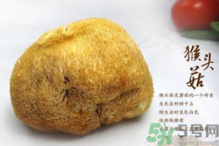 猴頭菇是酸性還是堿性？猴頭菇是堿性嗎？