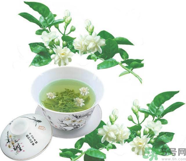 茉莉花茶是熱性還是涼性？茉莉花茶是涼性嗎？