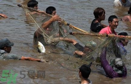 發洪水怎么抓魚？發洪水時的抓魚方法