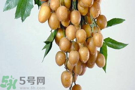 黃皮果是不是發(fā)物？黃皮果是發(fā)物嗎？