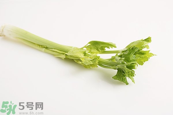 芹菜對精子有害嗎？芹菜對精子質(zhì)量有什么影響？