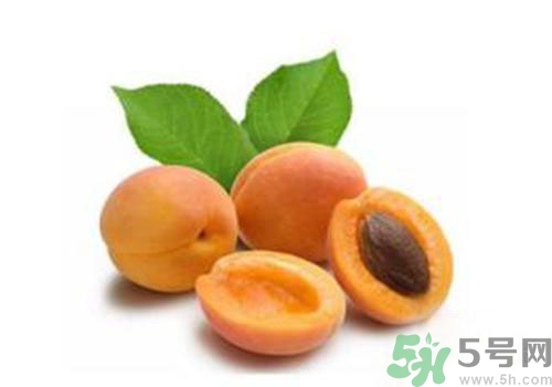 杏子上有黑點(diǎn)是怎么回事？杏子上有斑點(diǎn)可以吃嗎？