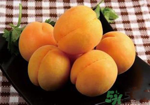 杏子皮可以吃嗎？吃杏子要剝皮嗎？