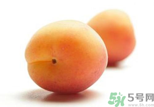杏子有毒嗎？杏子吃了會(huì)中毒嗎？