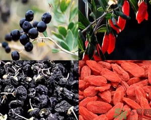 黑枸杞和紅枸杞有什么區(qū)別？黑枸杞和紅枸杞哪個(gè)好？