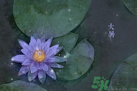 大暑吃什么養(yǎng)生？大暑吃什么好？