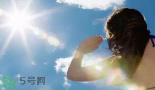 三伏天吃什么？三伏天傳統(tǒng)美食有哪些？