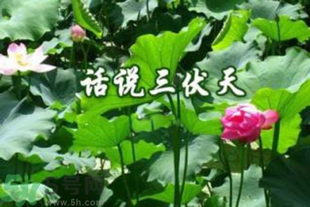 三伏天吃什么？三伏天傳統(tǒng)美食有哪些？