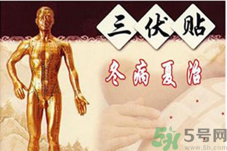 胃病可以貼三伏貼嗎？胃病貼三伏貼貼哪里？