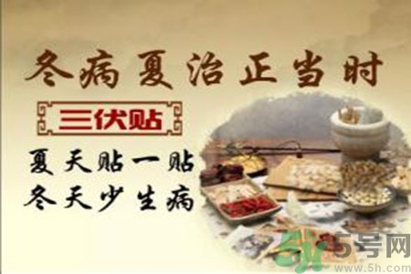 胃病可以貼三伏貼嗎？胃病貼三伏貼貼哪里？