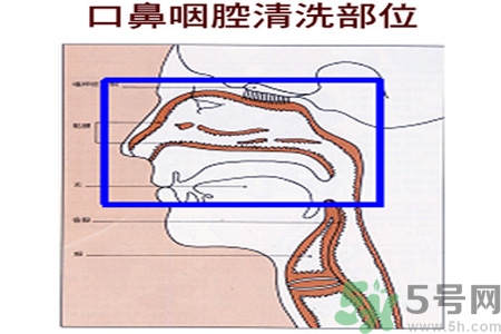 鼻炎能用生理鹽水清理鼻腔嗎？鼻炎能不能用生理鹽水清理鼻腔？