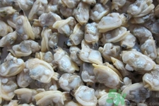 花蛤的營養(yǎng)價值有哪些？生取蛤肉的方法是什么？