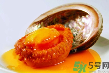鮑魚如何挑選？鮑魚如何保存？
