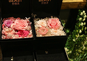 野獸派的花多少錢？野獸派的花哪里買？