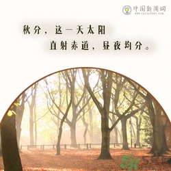 立秋是秋分嗎？立秋和秋分的區別？