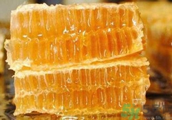蜂膠是什么東西？蜂膠可以長期服用嗎？