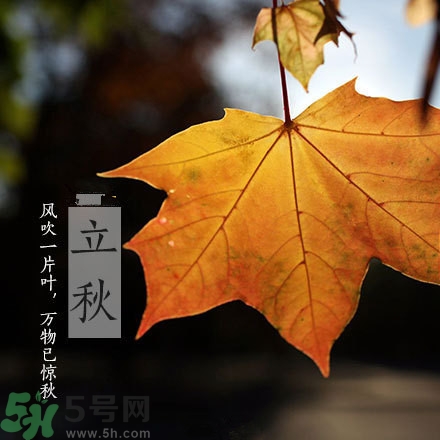 早立秋是什么?早立秋和晚立秋的區別