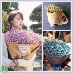 七夕送女朋友什么花？七夕送女朋友花送幾朵？