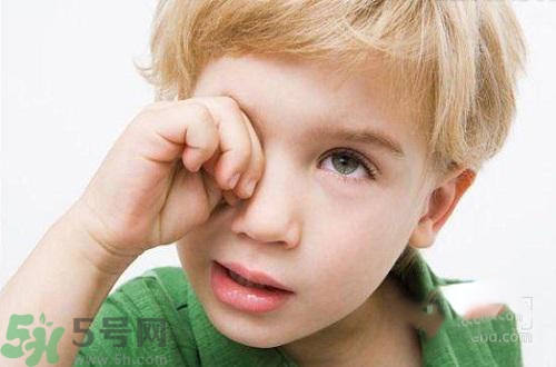 秋季眼睛干澀怎么辦？秋季眼睛干澀怎么調理？
