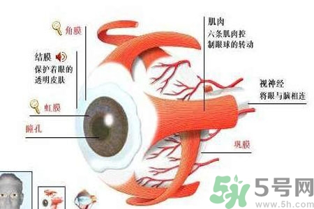 白內障的護理措施是什么？白內障的飲食護理有哪些？