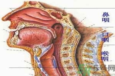 鼻咽癌的治療方法是什么？鼻咽癌可以用什么藥物治療？