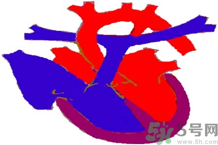 心臟病是怎么形成的？易發(fā)人群有哪些？
