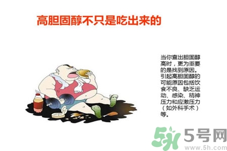 高膽固醇人群該怎么辦？膽固醇高需注意什么？