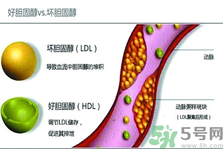 膽固醇高會引發什么疾病嗎？如何控制高膽固醇？