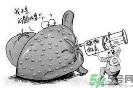 如何分清常見的激素藥？如何正確使用激素類藥物？