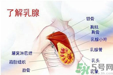 乳頭為什么會癢？乳頭癢怎么辦？