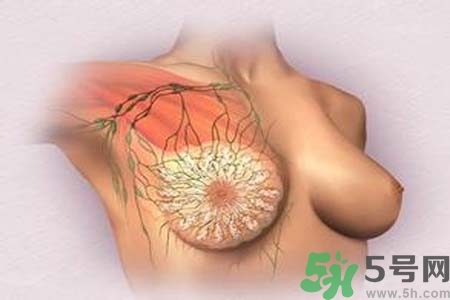 乳頭發(fā)黑怎么辦？怎么樣可以使乳頭變白？