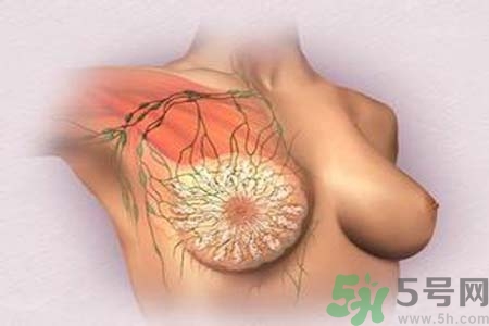 乳頭發黑是怎么回事？乳頭發黑是什么原因？