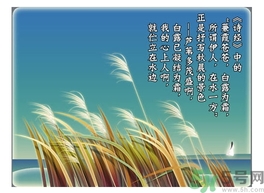 白露茶是什么茶？白露為什么要喝白露茶？