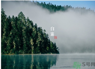 白露喝什么茶？白露養(yǎng)生茶飲推薦