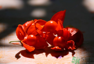 紅姑娘怎么吃？紅姑娘怎么保存？